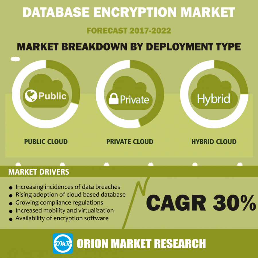 Global Database Encryption Market