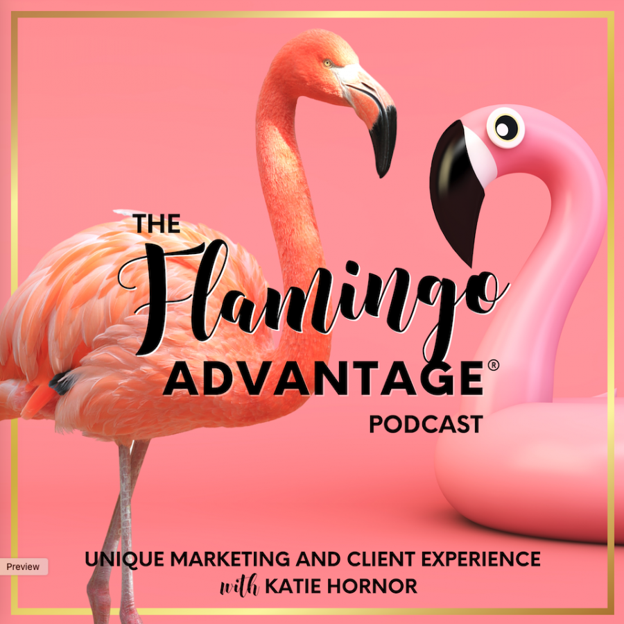 The Flamingo Advantage Podcast Cover Art