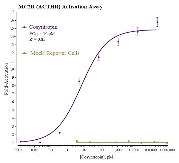 MC2R Activation Data Plot