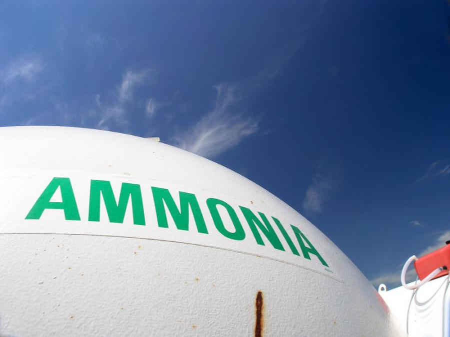 Green Ammonia Market