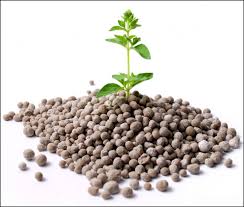 Phosphate Fertilizer Market Development