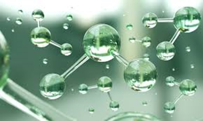 Green Ammonia Industry Trends