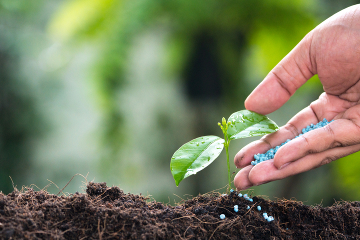 Vietnam Fertilizer Industry Size