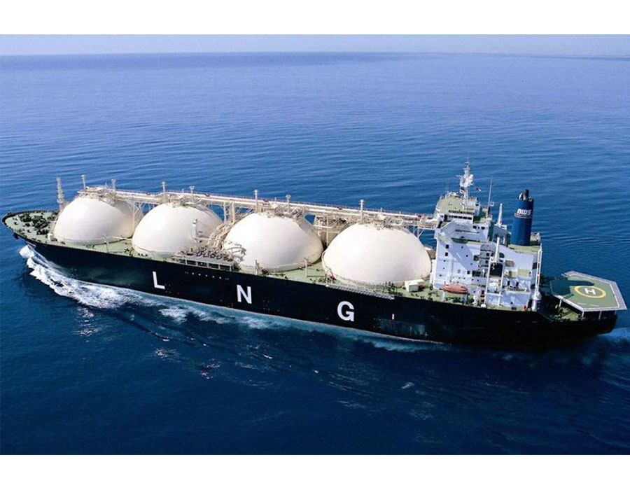 LNG Bunkering Market Share