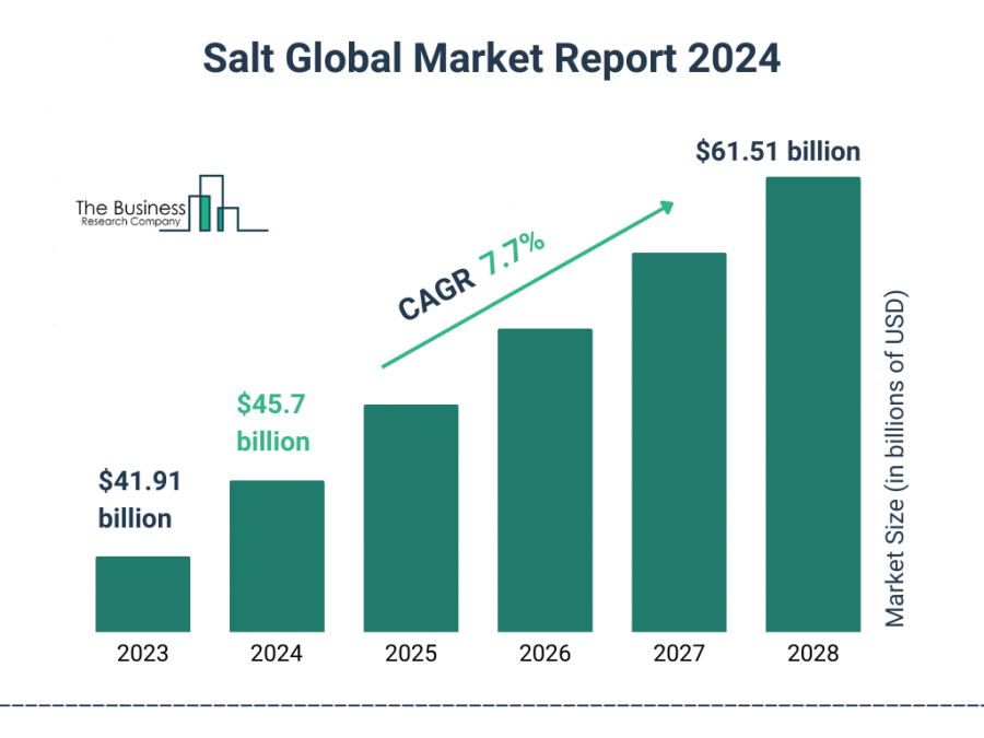 Salt Market Report 2024