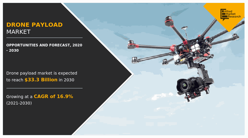 Drone Payload  Size, Share