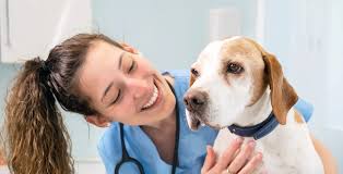 Pet Cancer Therapeutics Market 2024-2032