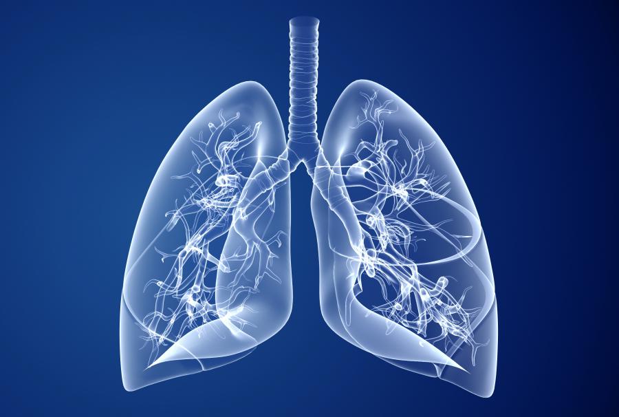 Cystic Fibrosis Market Size