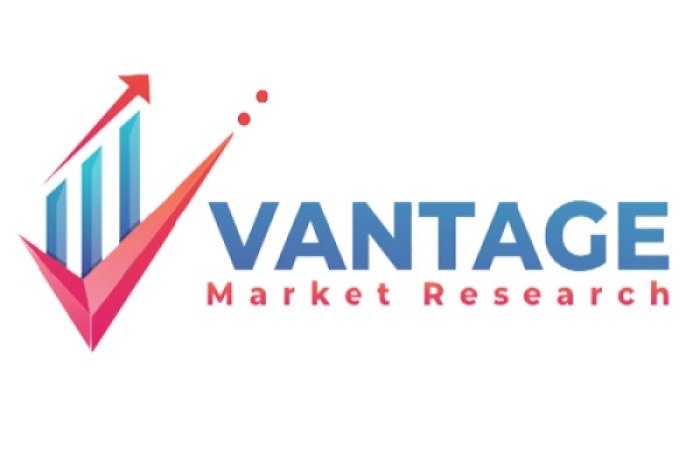 Europe Pharmaceutical Exipients Market Size