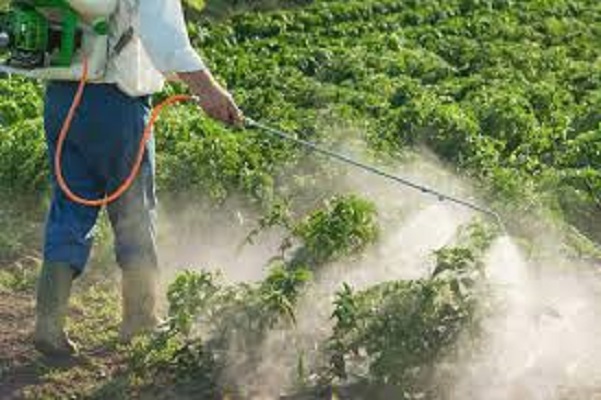 Insecticides Market Trends