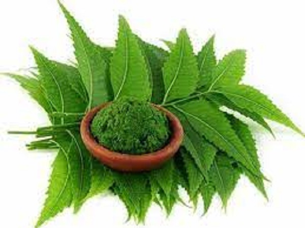 Neem Extract Market Explosive Growth