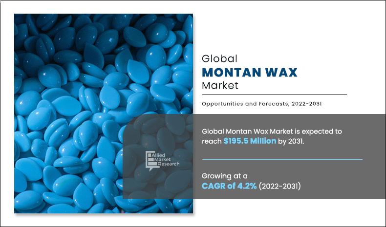 Montan Wax Market Research – 2030