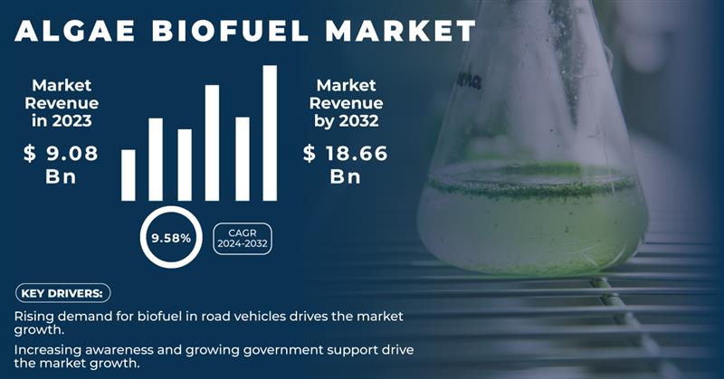 Algae Biofuel Market 2024