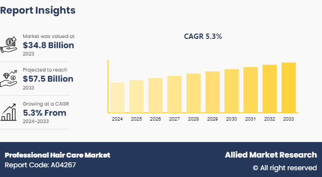 Professional Hair Care Market Size, Share, Competitive Landscape and Trend Analysis