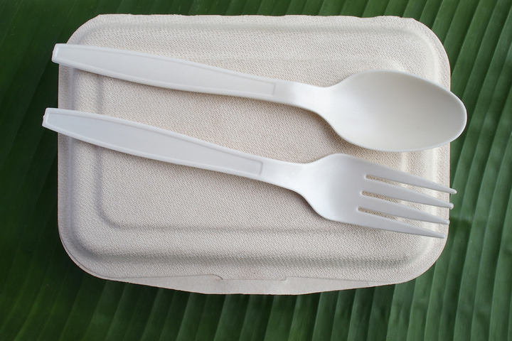 Biodegradable Plastics Market Insights