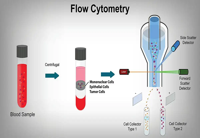 Global Flow Cytometry Market