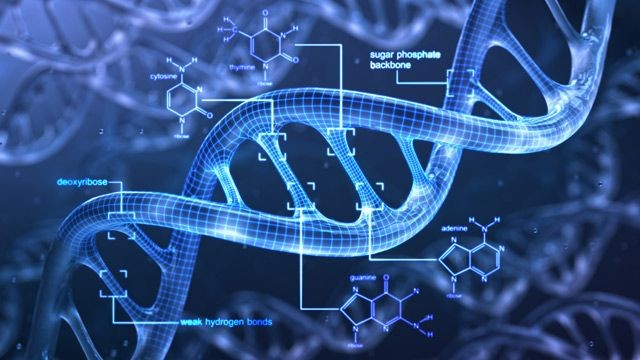 Global Proteomics Market