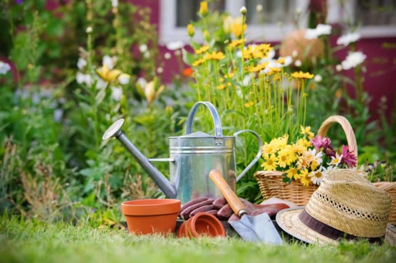 Lawn and Garden Consumables Markets Trends