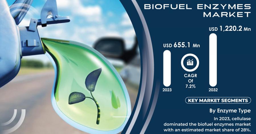 Biofuel Enzymes Market 2024