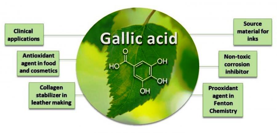 Gallic Acid Market