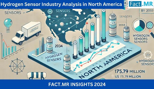 Hydrogen Sensor Industry Analysis in North America