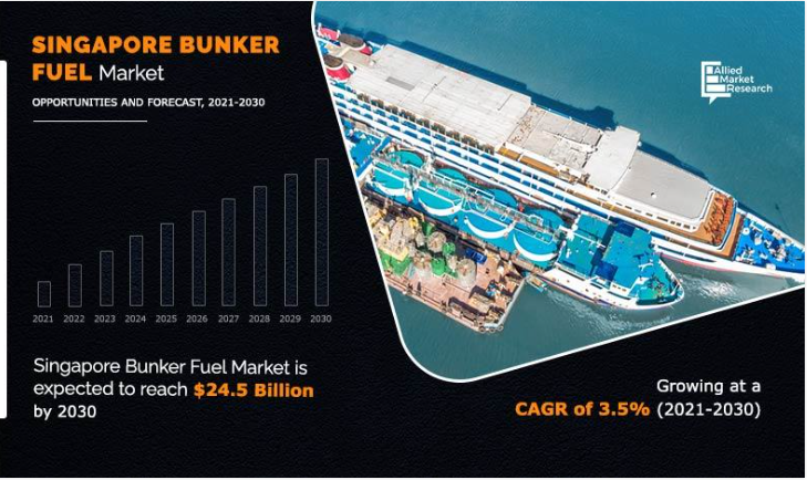 Singapore Bunker Fuel Market Scope