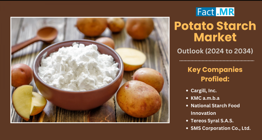 potato starch market