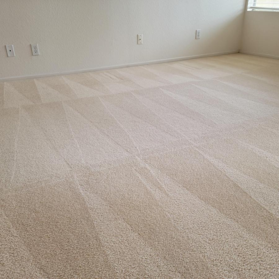 Eco-Friendly Carpet Cleaning Services Provided By JP Carpet Cleaning