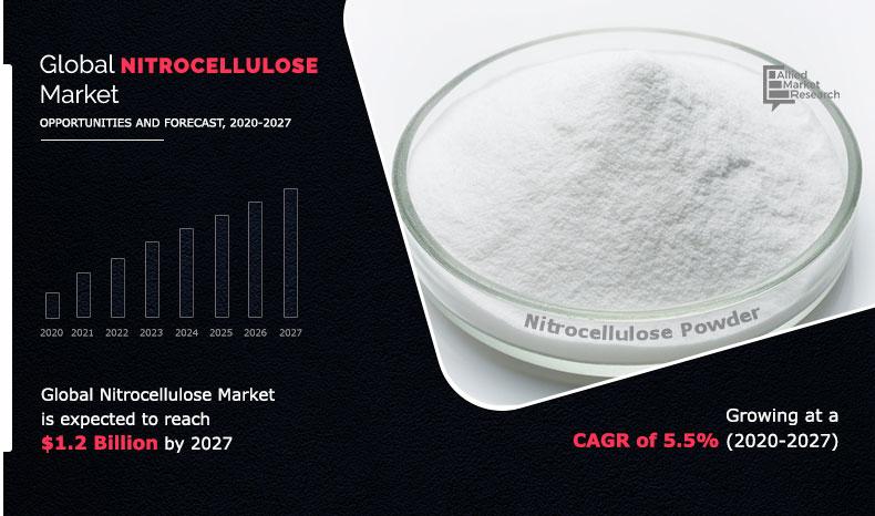 Nitrocellulose Markets Share