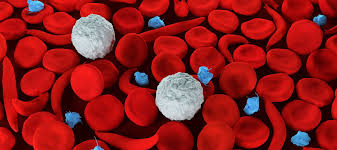 Sickle Cell Disease Treatment Market Report