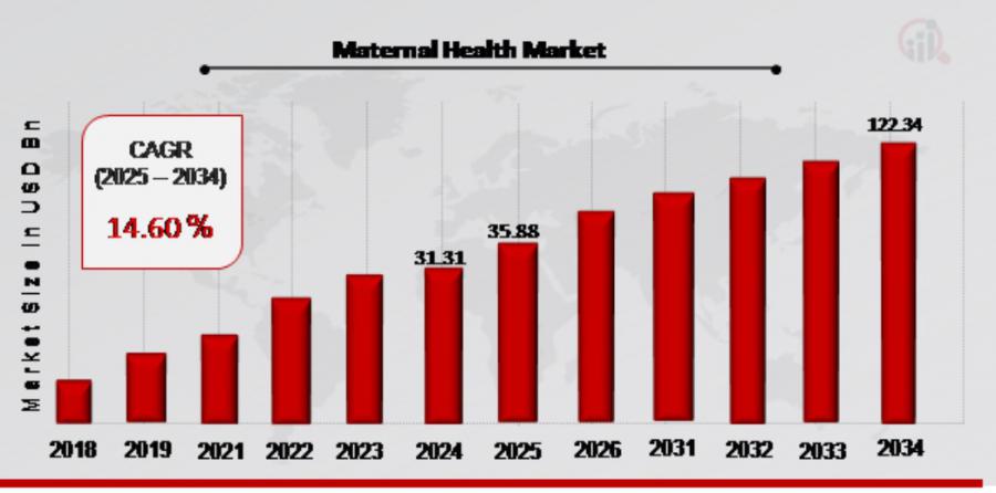 Maternal Health Market overview