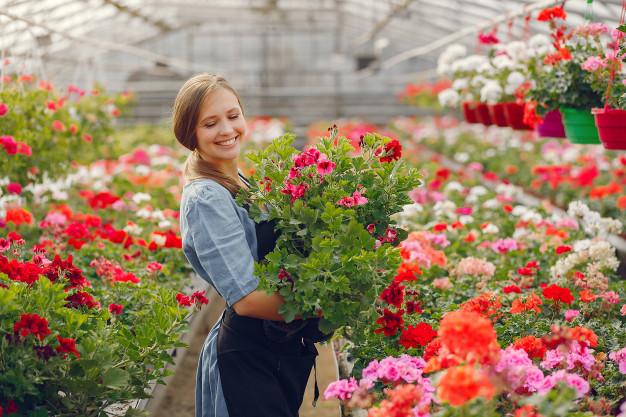 Consumer Floriculture Market