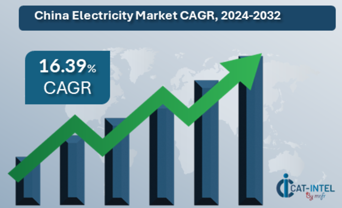 Category Intelligence for China Electricity Market Overview