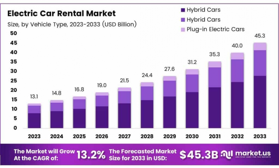 Electric Car Rental Market Size