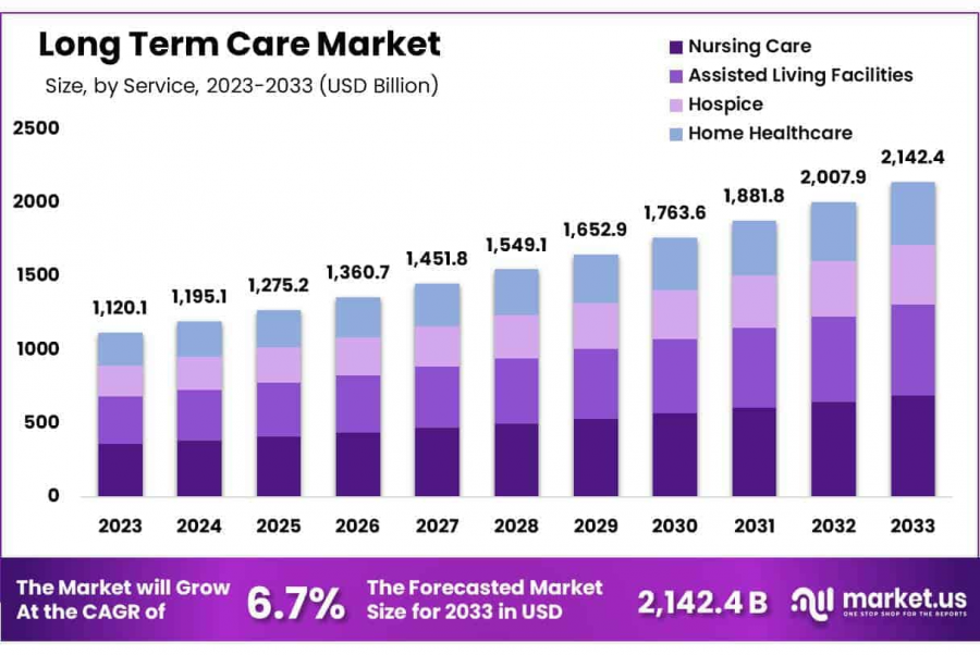 Long Term Care Market Size