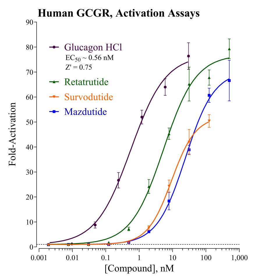 GCGR Activation Graph