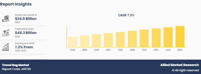 Travel Bag Market: 2025