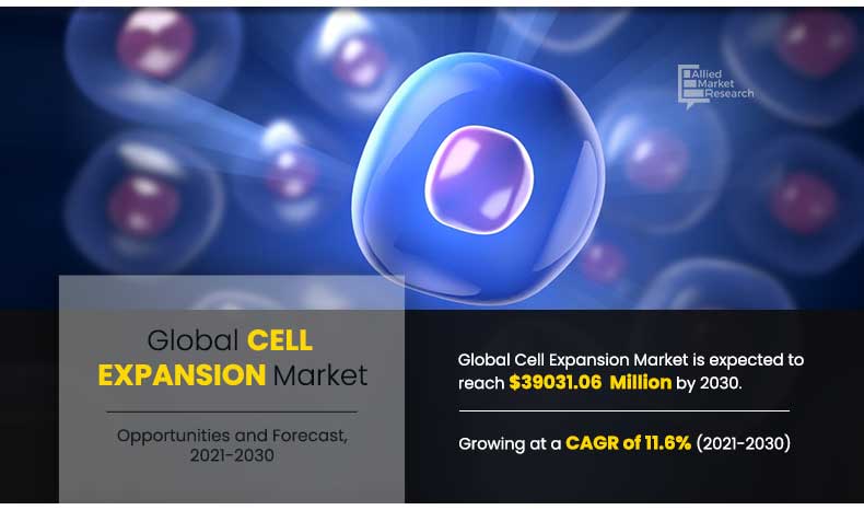 Cell Expansion Market Research Report