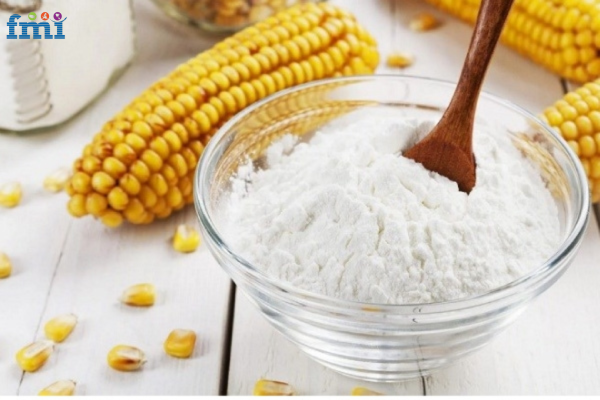 Modified Starch Industry