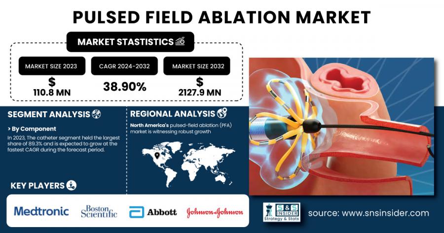 Pulsed Field Ablation Market