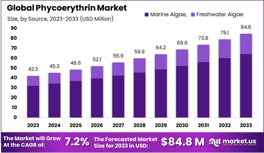 Phycoerythrin Market Size