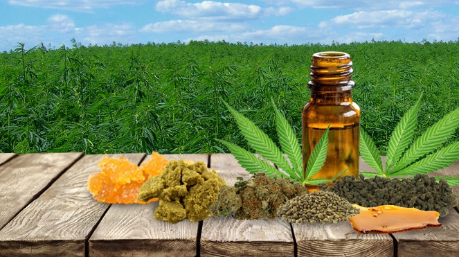 Cannabis Extract Market Report