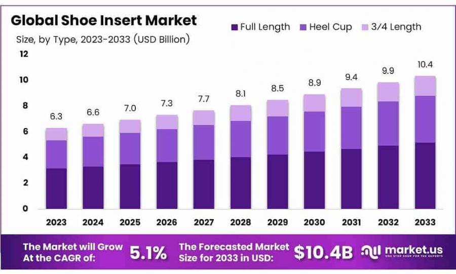 Shoe Insert Market Size