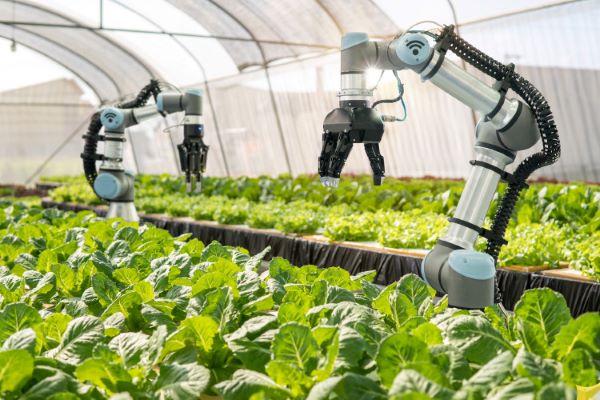 Agriculture Robots Market Research