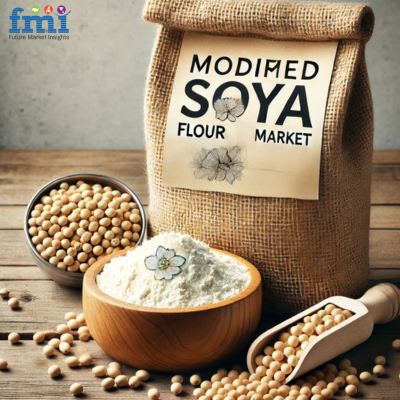 Modified Soya Flour Market