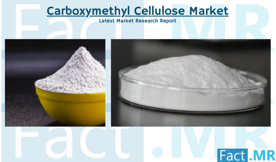 Carboxymethyl Cellulose Industry