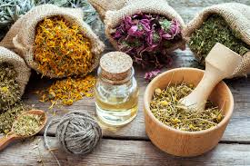 Global Traditional Medicine Market