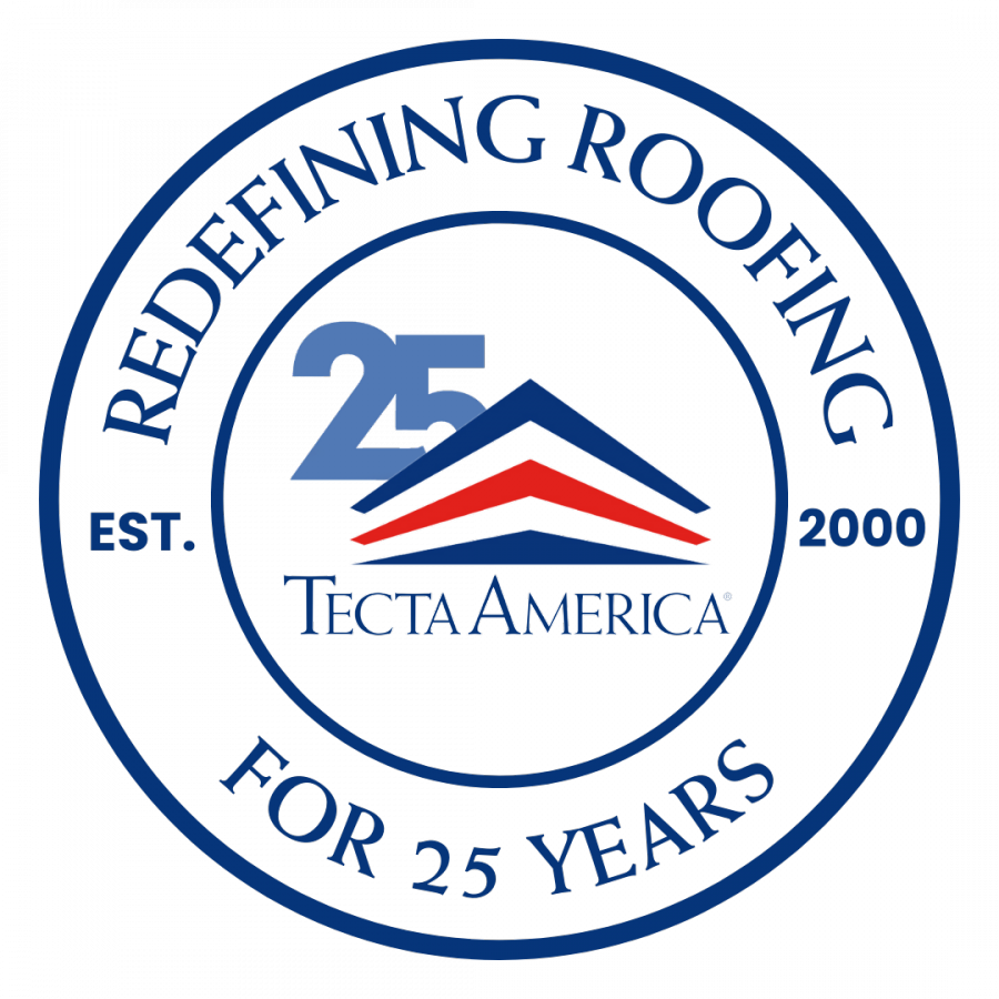 Tecta America 25th Anniversary Logo