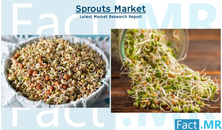 Sprouts Industry