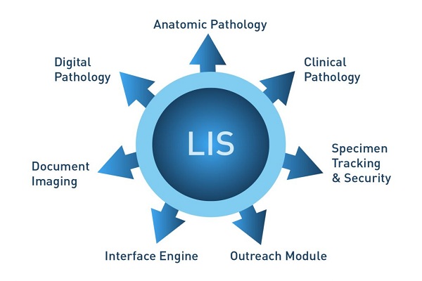 Laboratory Information Systems Market Share 2025